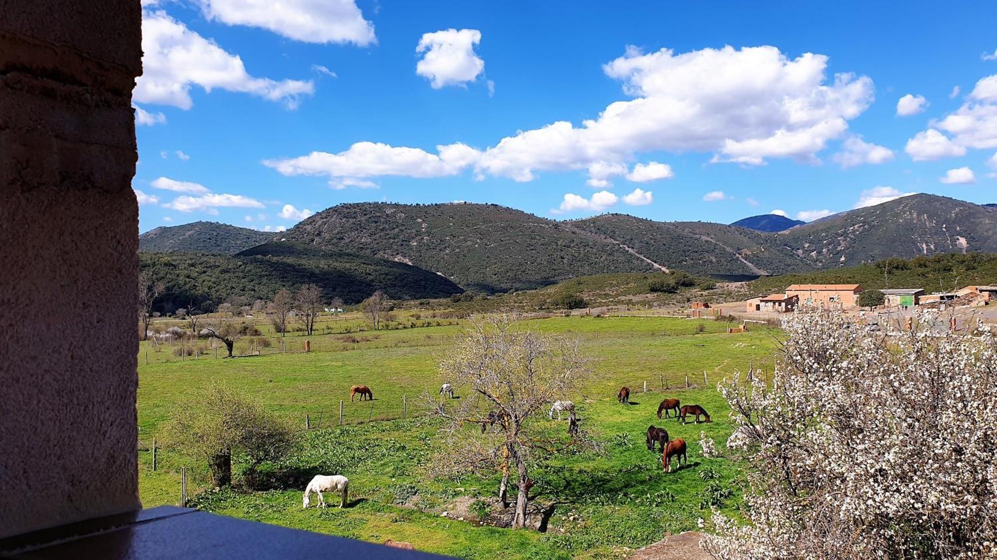 Casa Con Piscina En Parque Nacional De Cabaneros Navas de Estena 외부 사진